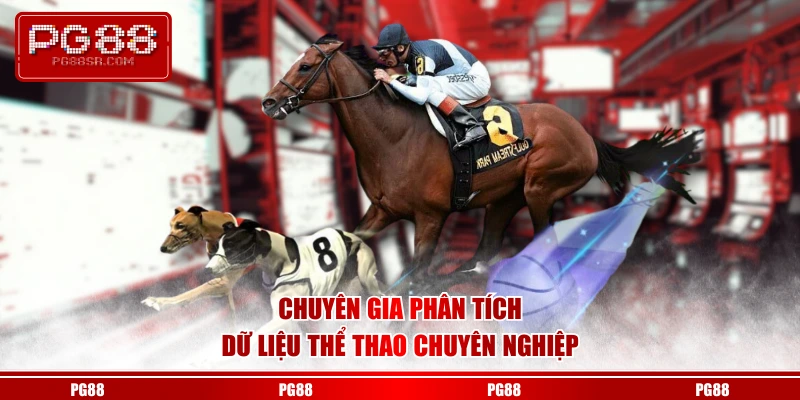 Chuyên gia phân tích dữ liệu thể thao chuyên nghiệp