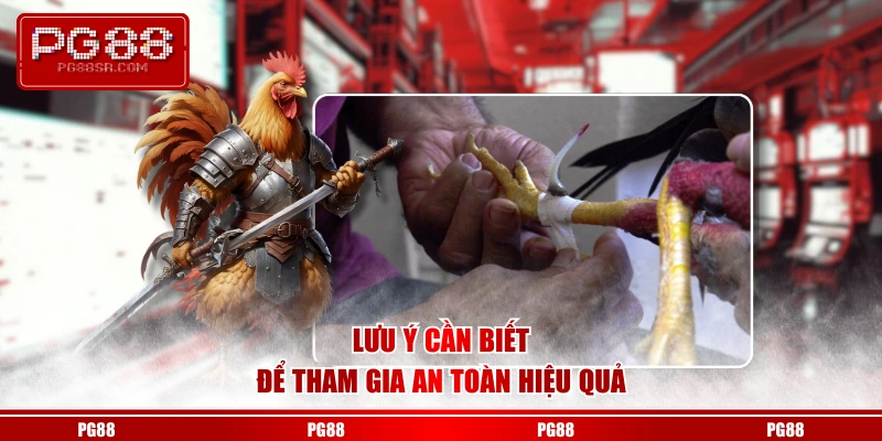 Lưu ý cần biết để tham gia an toàn hiệu quả